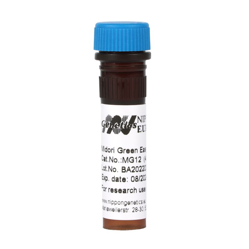 Thuốc nhuộm DNA an toàn MIDORI Green Advance: Giải pháp đột phá trong phòng thí nghiệm sinh học phân tử