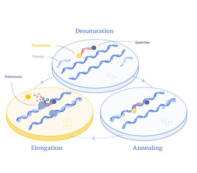 Top 6 hóa chất sinh học phân tử không thể thiếu trong phòng thí nghiệm